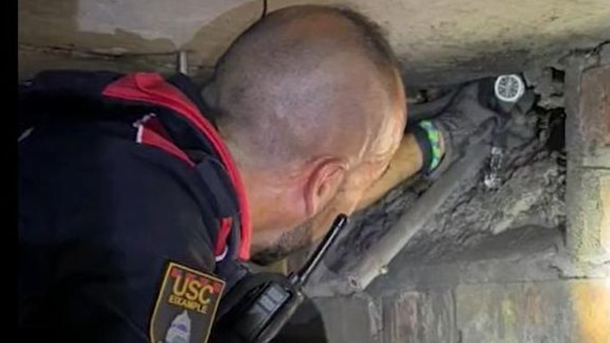 Vandalisme després dels 50: tres homes obliguen a tancar una estació d'autobusos en buidar un extintor