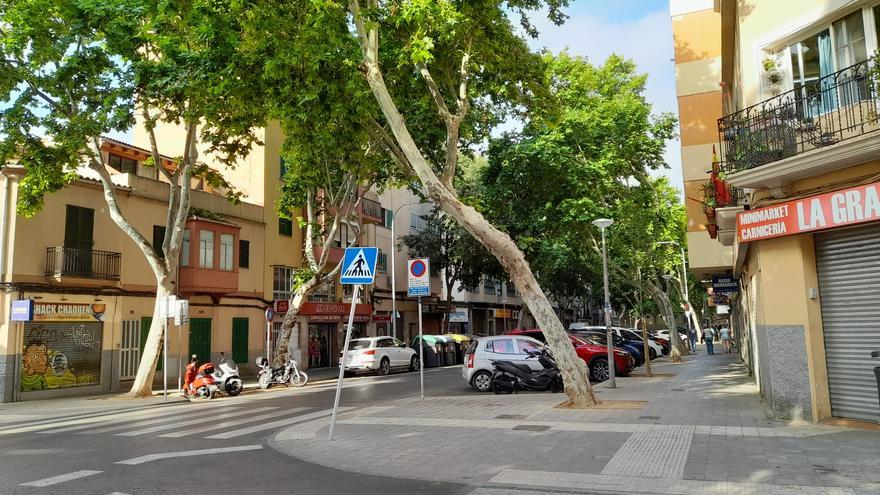 Palma gana aceras más anchas, espacios de estancia y nuevo arbolado en Pere Garau con el “Plan Renove” del ayuntamiento