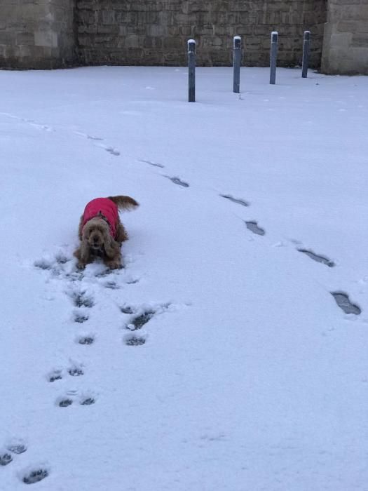 La neu arriba a Manresa