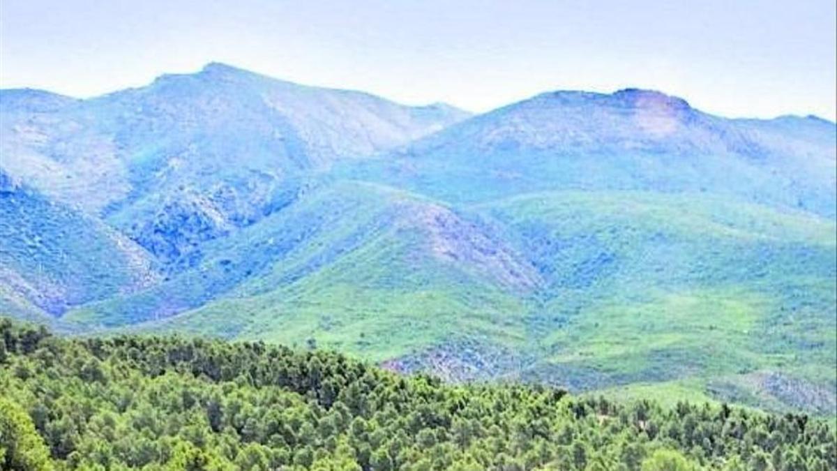 Vista de la finca más grande en venta en España, ubicada en Galicia.