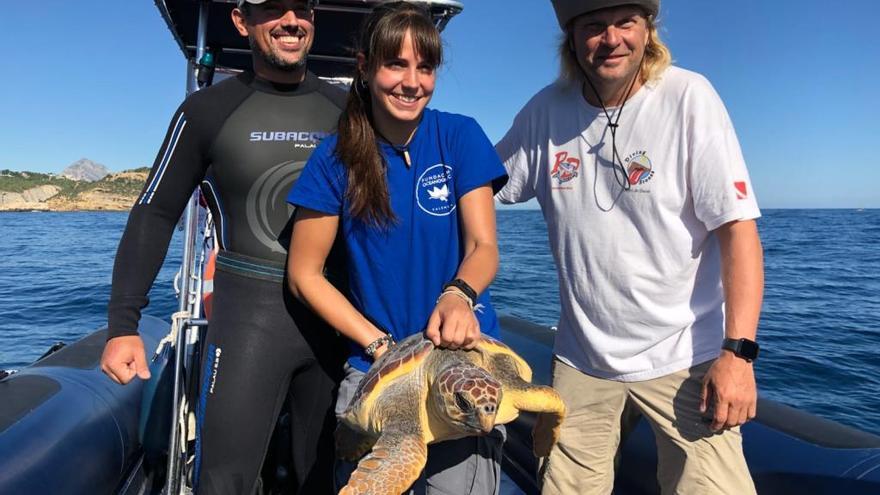 Liberan a una tortuga salvada en Xàbia por unos buceadores