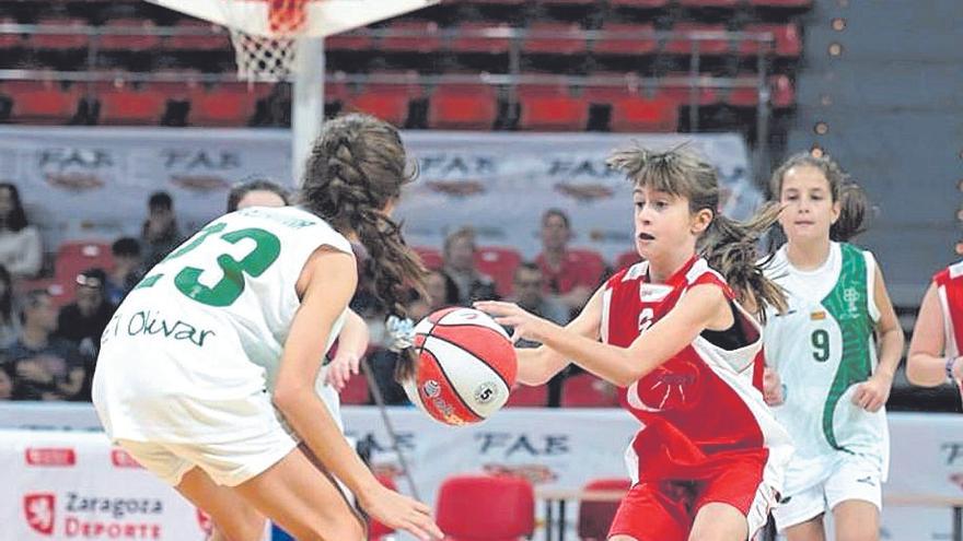 El XXVII Día del Minibasquet Ibercaja reúne a 2.000 chicas y chicos en el Príncipe Felipe