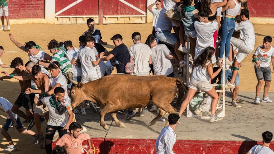 Piden que se impida la asistencia de menores a los actos taurinos en las fiestas del barrio de Casablanca