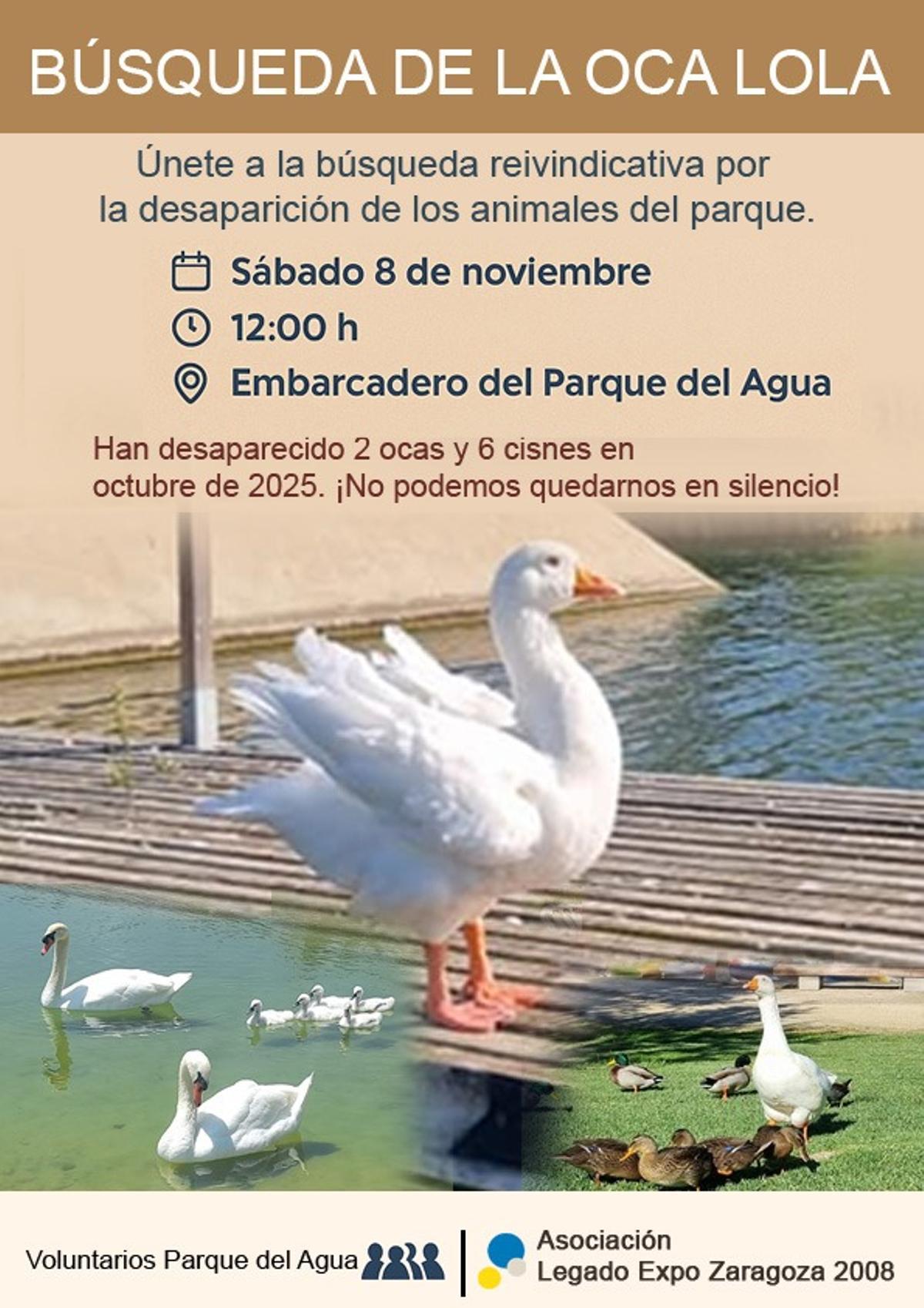 Búsqueda de la oca Lola.