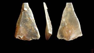 Restos de homo sapiens encontrados en Francia.
