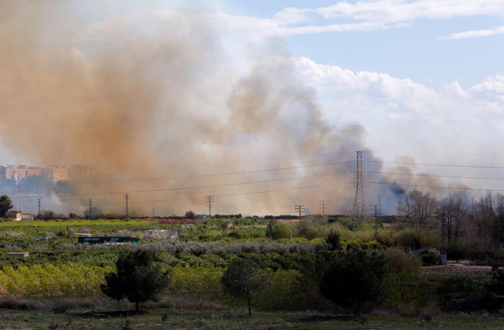 Incendio parque fluvial del Turia en Manises