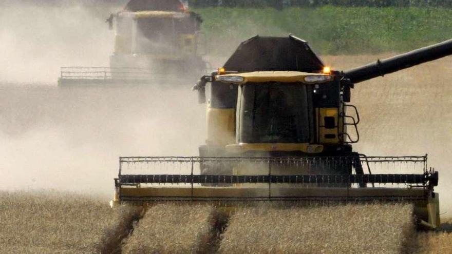 En el futuro se utilizarán vehículos agrícolas inteligentes. En la imagen, dos cosechadoras en Alemania.