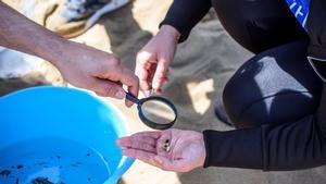 Microplásticos encontrados en las aguas del océano.