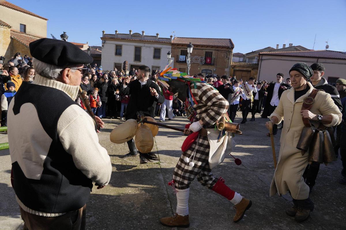 GALERÍA | El Zangarrón de Sanzoles 2025
