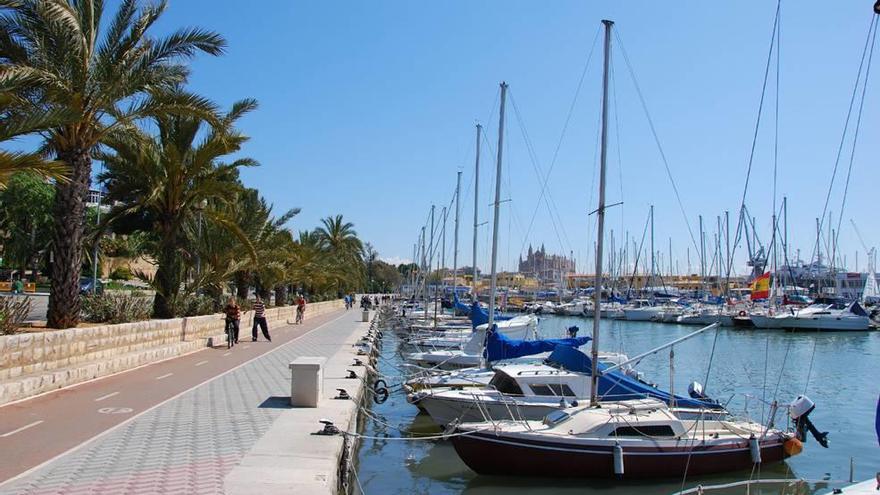 Amarres situados en el paseo Marítimo y gestionados directamente por la Autoritat Portuària.
