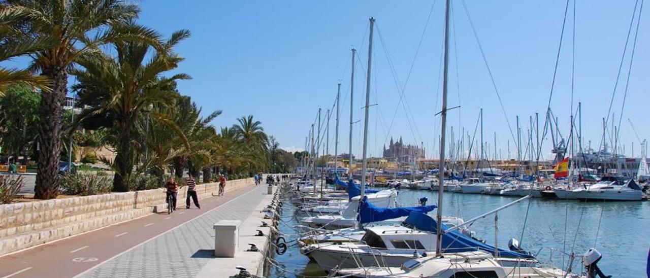 Amarres situados en el paseo Marítimo y gestionados directamente por la Autoritat Portuària.