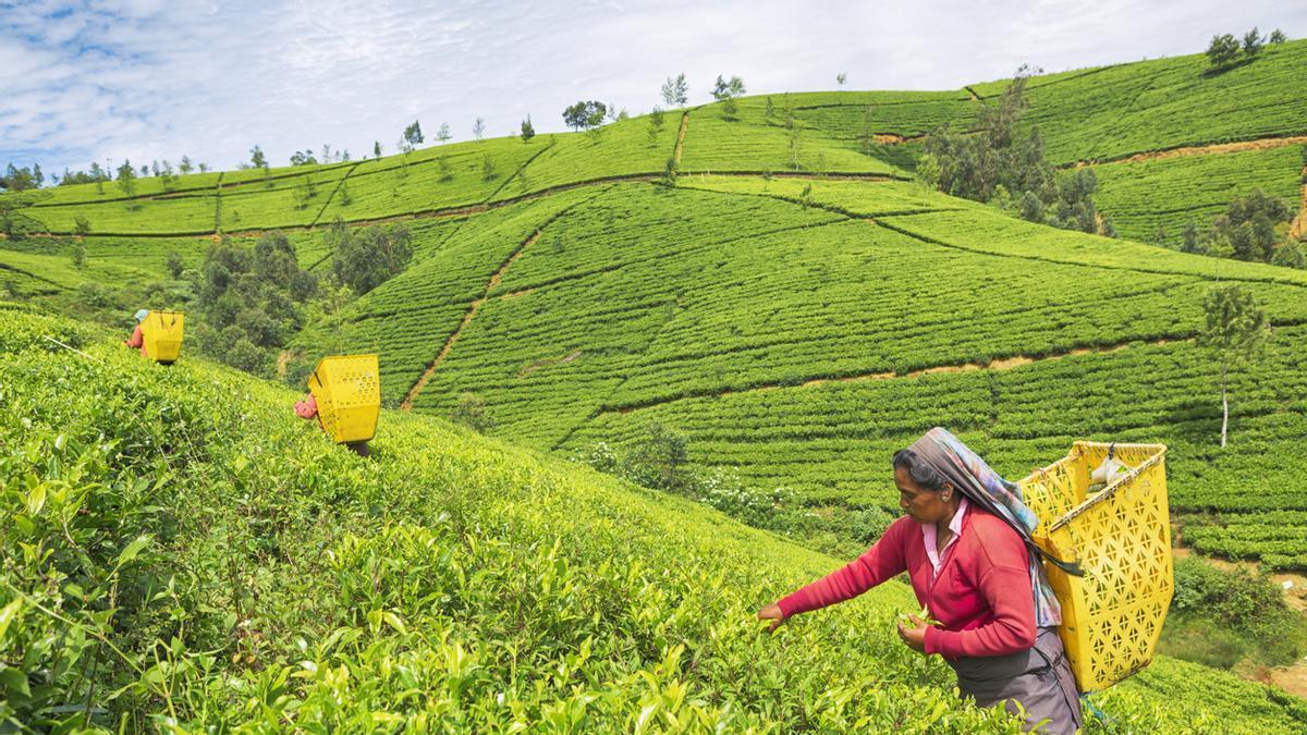 Sri Lanka