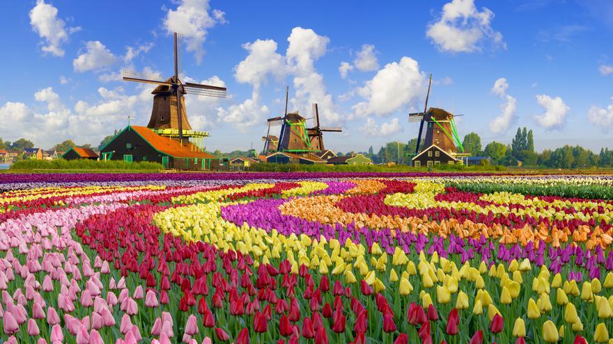 Zaanse Schans: sumérgete en la historia y cultura de los Países Bajos