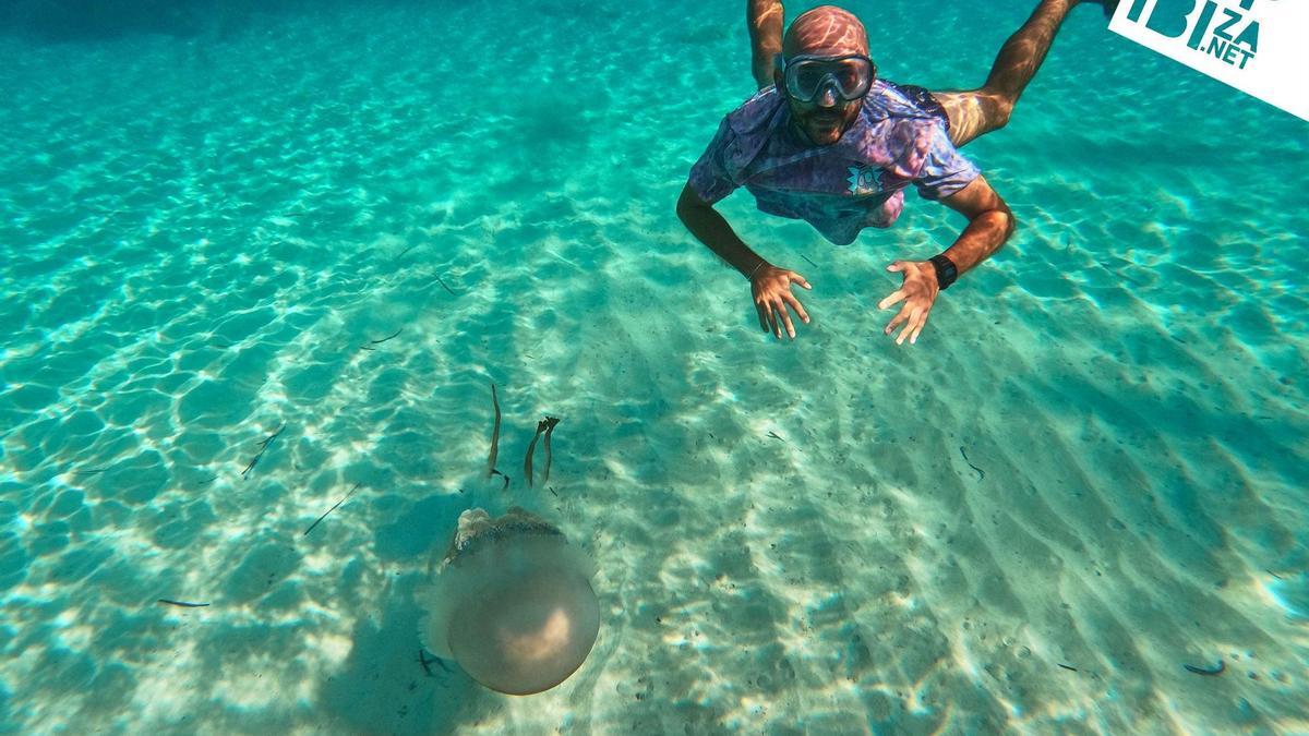 Un grup de turistes es troba meduses i s'enregistra amb elles