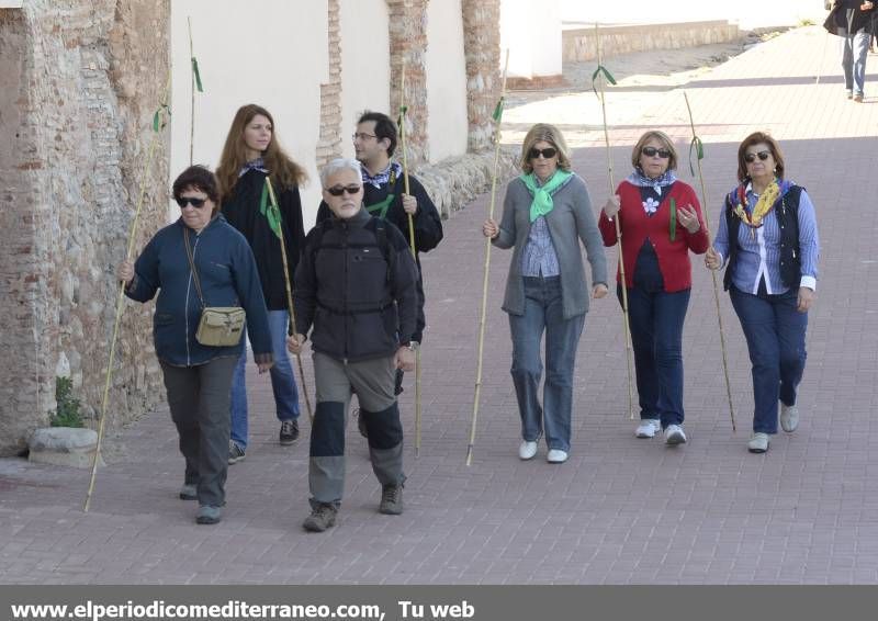 GALERÍA DE FOTOS - Romería Magdalena 2014 (2)