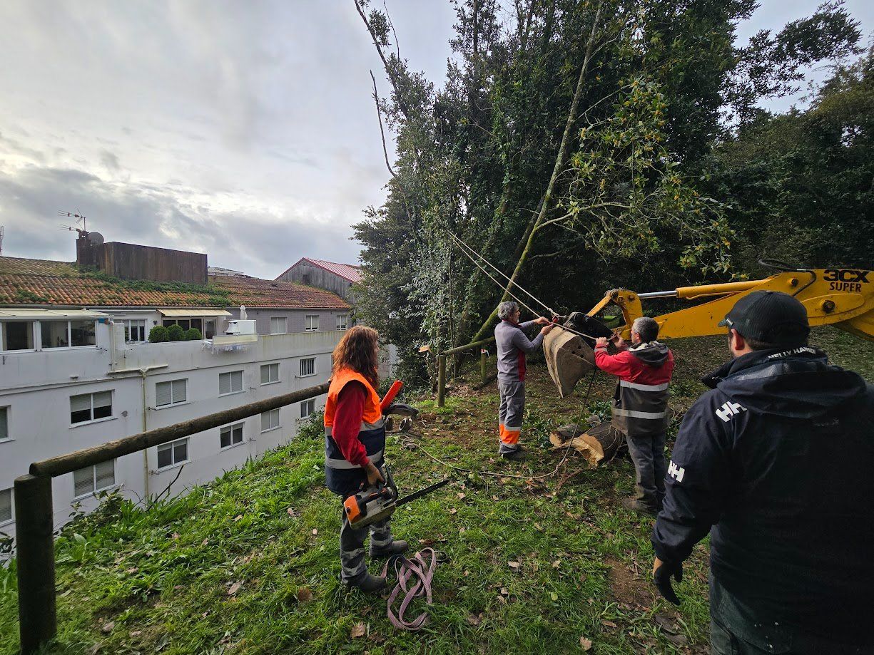 La tala de árboles en el Parque Valdés Bermejo para garantizar la seguridad ciudadana.