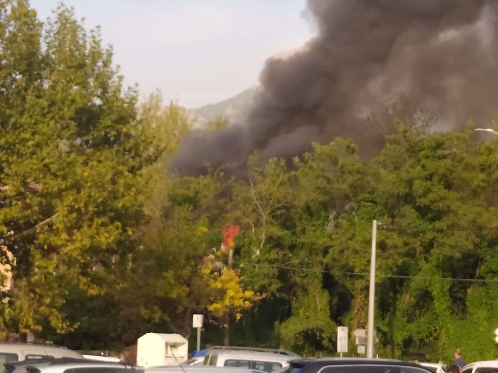 Un incendio intencionado destruye las oficinas de la Fàbrica Nova de Sóller