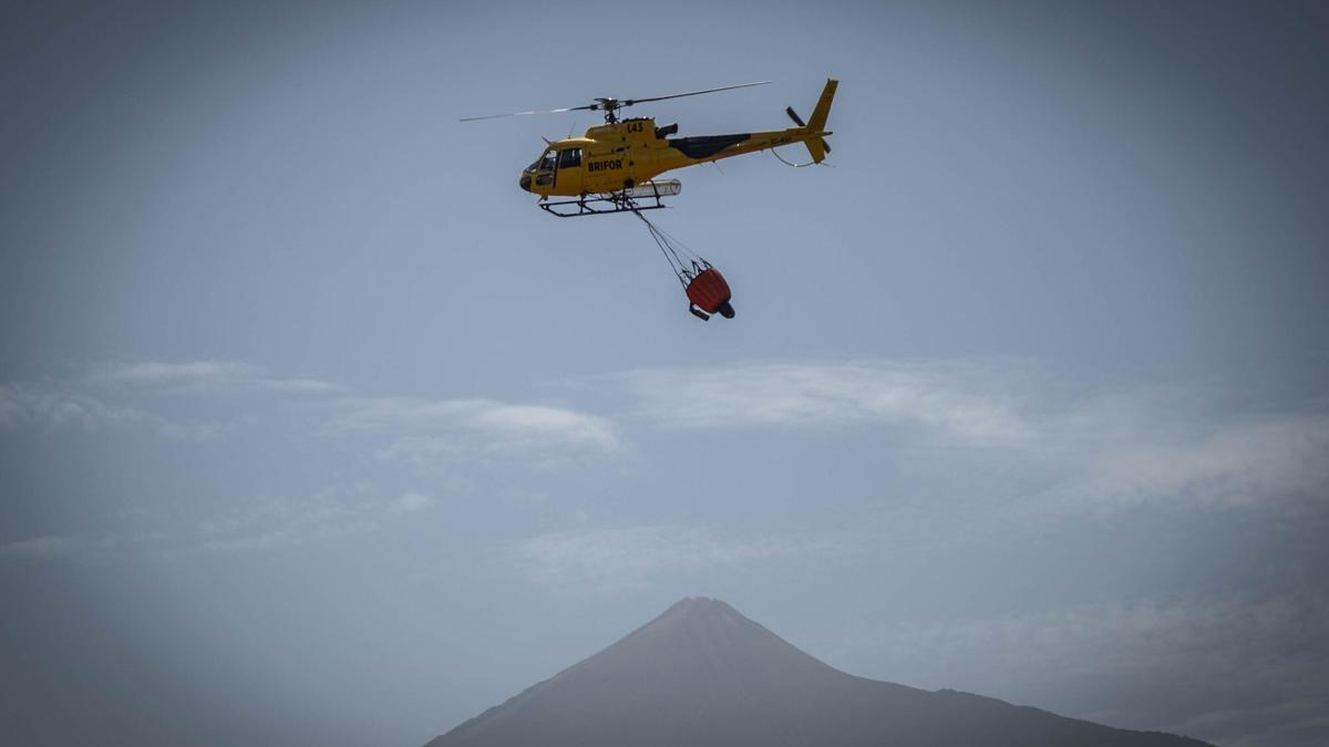 Control del incendio en Tenerife, archivo.