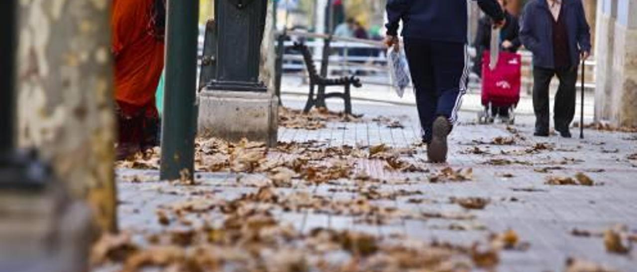 Alcoy renovará los equipos de baldeo de calles por la prevención de la legionela