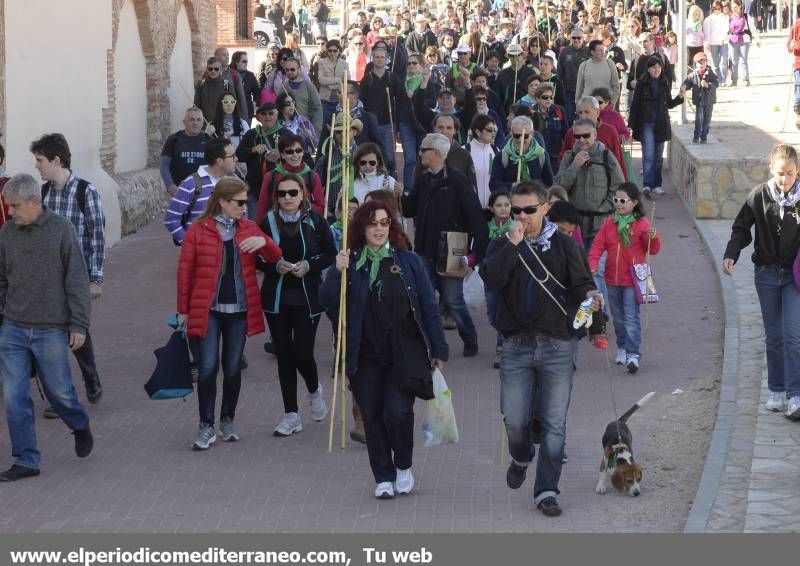 GALERÍA DE FOTOS - Romería Magdalena 2014 (6)