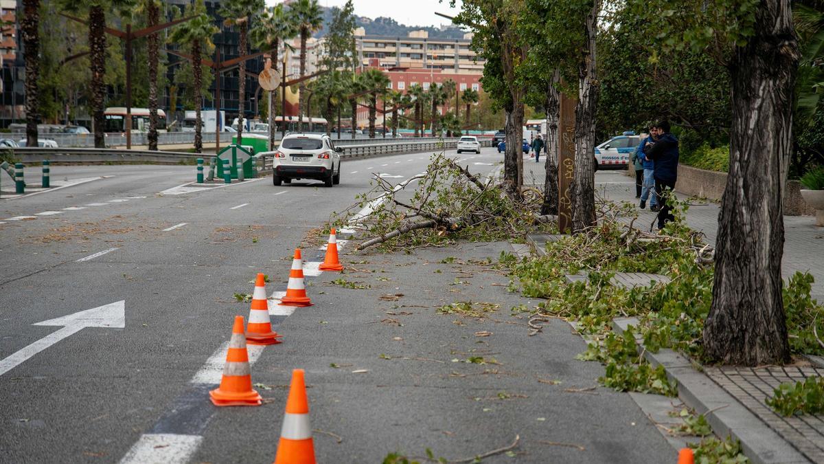 FIRTINA BERT RÜZGAR ALARMI | Storm Bert, saatte 100 km'ye varan rüzgarlar nedeniyle Katalonya ve diğer beş toplumu alarma geçirdi