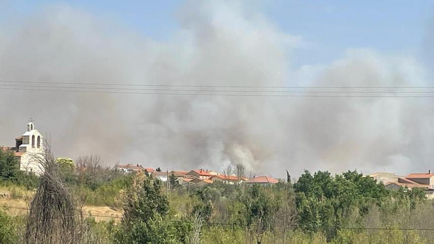 Nuevo incendio en Zamora entre Muelas del Pan, Villaseco y Almaraz.