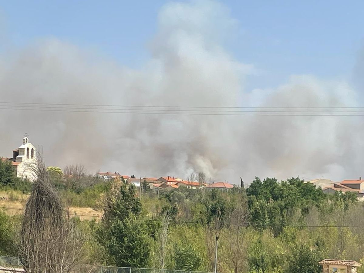 Nuevo incendio en Zamora entre Muelas del Pan, Villaseco y Almaraz.
