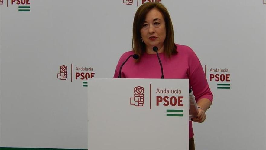 El PSOE critica el silencio de la consejera de Igualdad tras las declaraciones de Aguirre