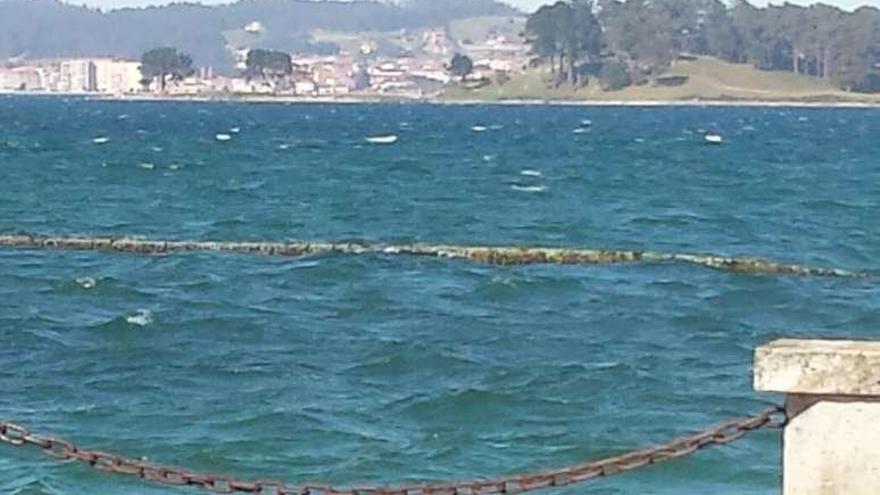 El tubo a la deriva a la altura de Beiramar, en O Grove, ayer. // Muñiz