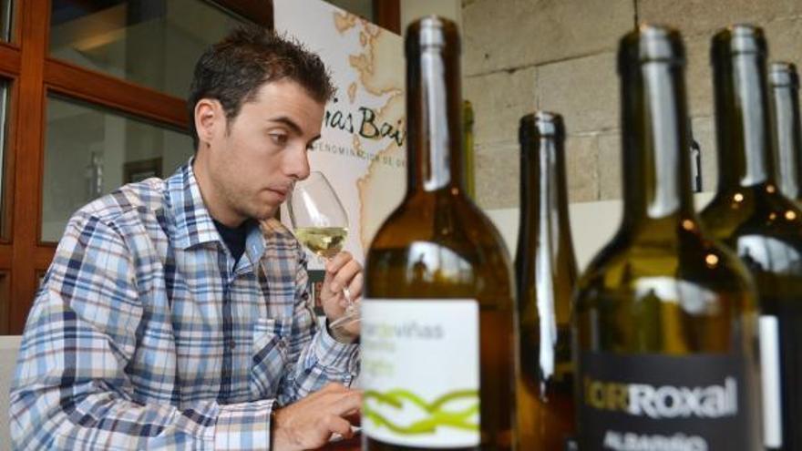 Una cata de vinos Rías Baixas.