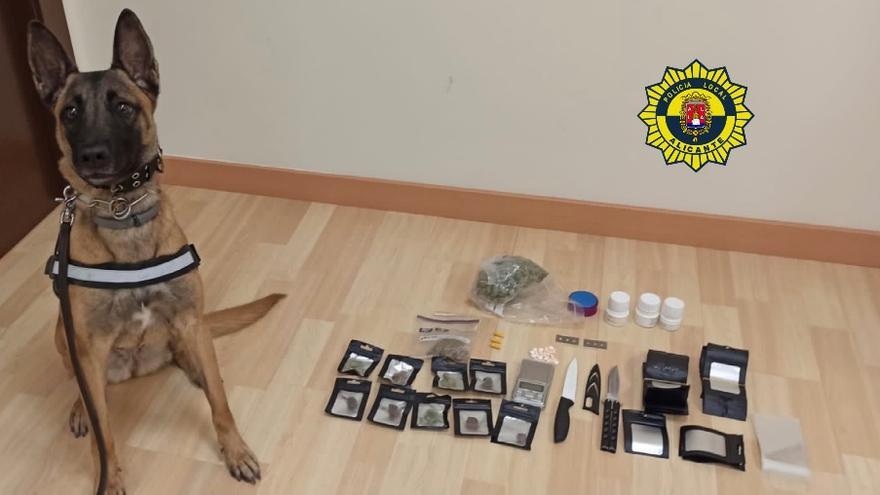 El perro &quot;Kata&quot; junto a la droga incautada.