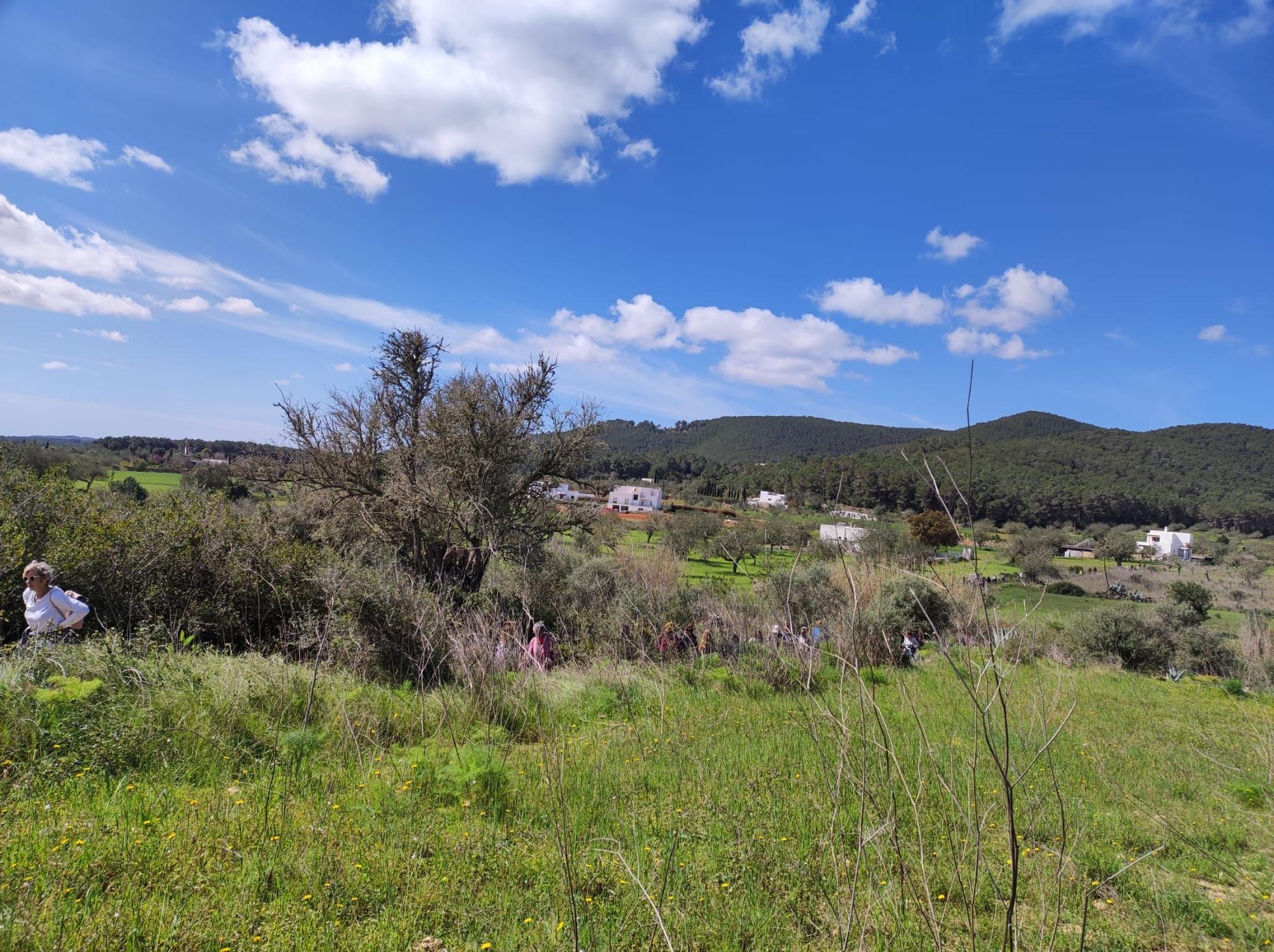 Reivindicación de los caminos públicos de Ibiza