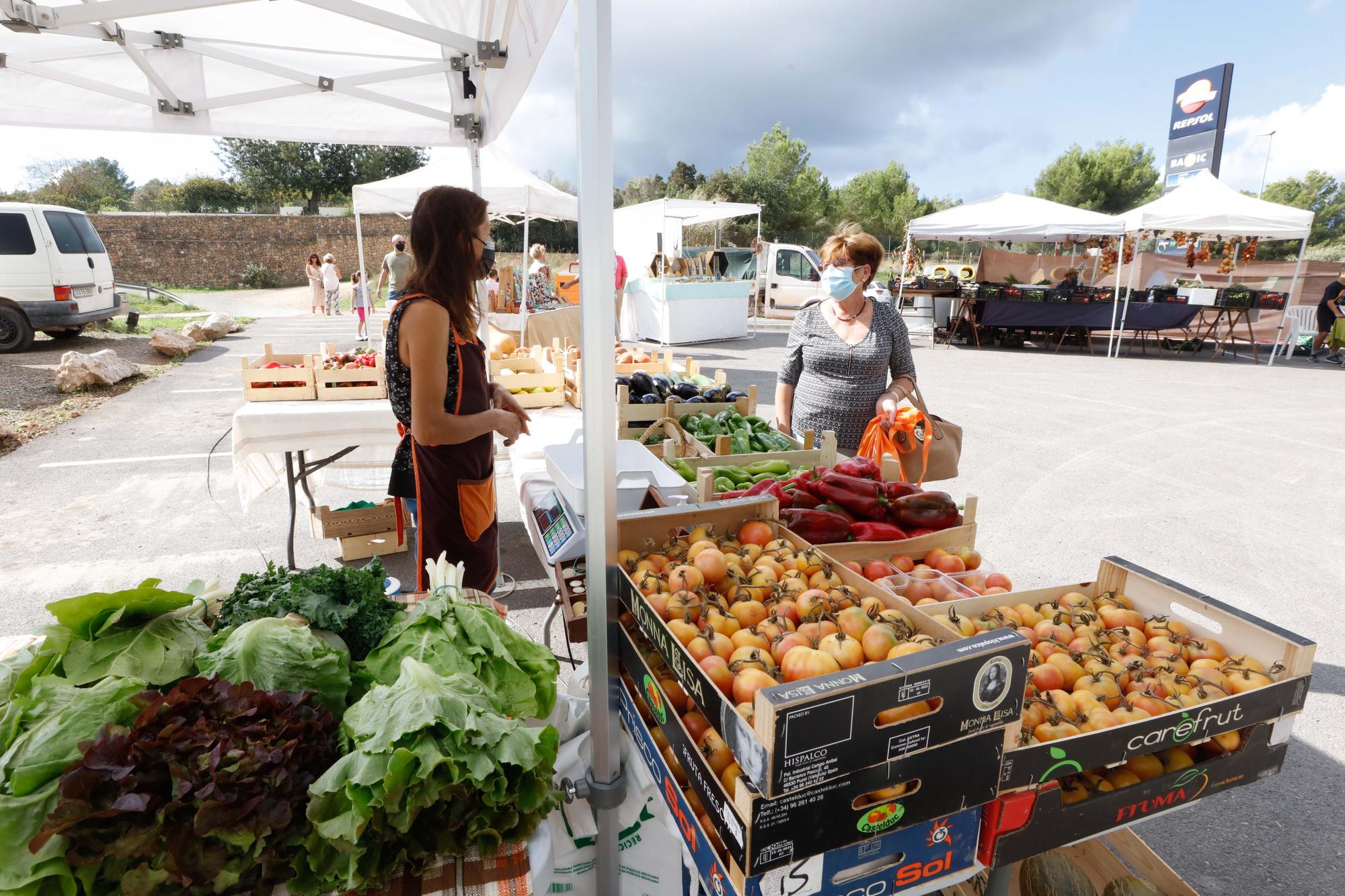 Fiestas de Sant Rafel 2021