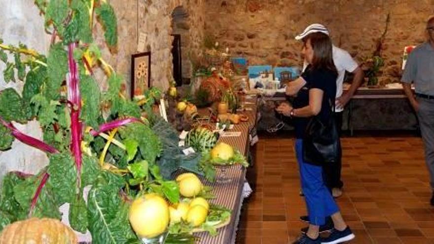 L&#039;exposició de flors al Castell de Benedormiens.