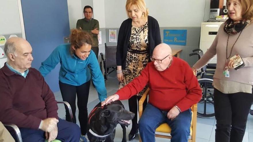 Perros como terapia para los mayores del Virgen del Valle