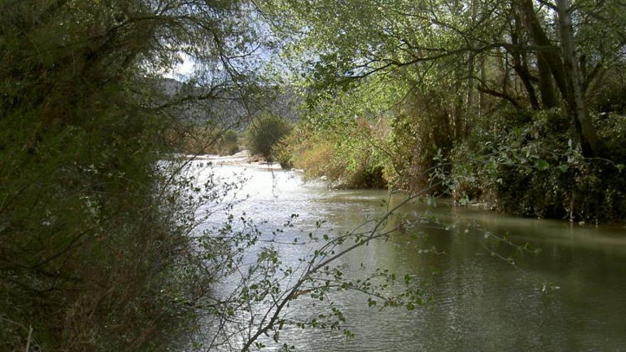 El Segura a su paso por Cieza, en una foto de archivo.