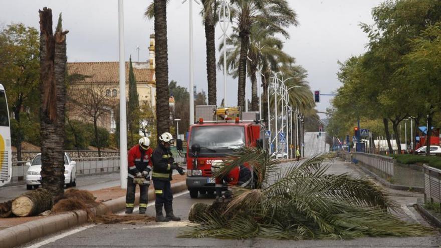 El Ayuntamiento de Córdoba indemnizará a un conductor por una colisión múltiple tras fallar los semáforos