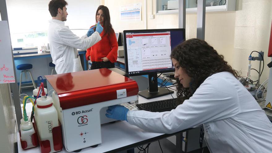 Investigadores de la Universidad de Málaga.