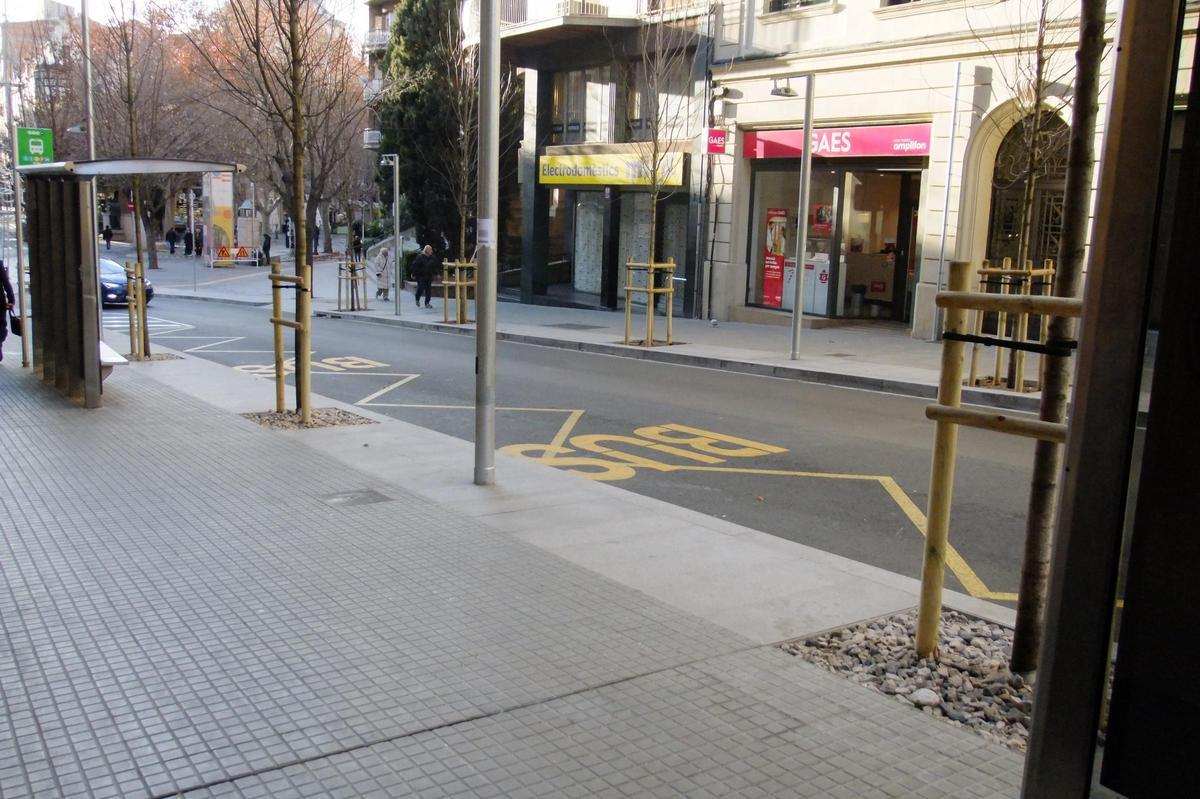 Arbres a una de les parades