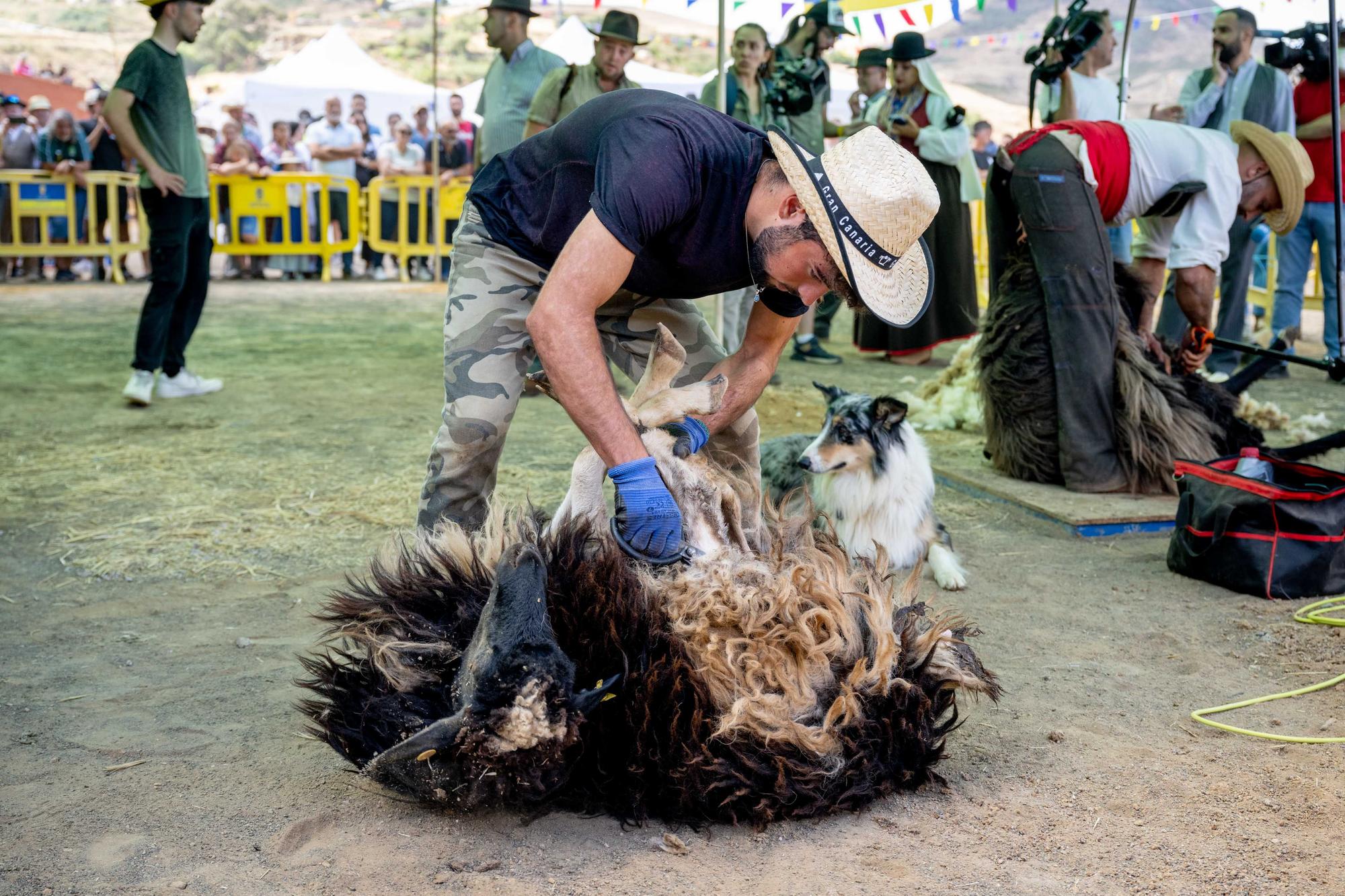 Fiesta de la Lana de Caideros