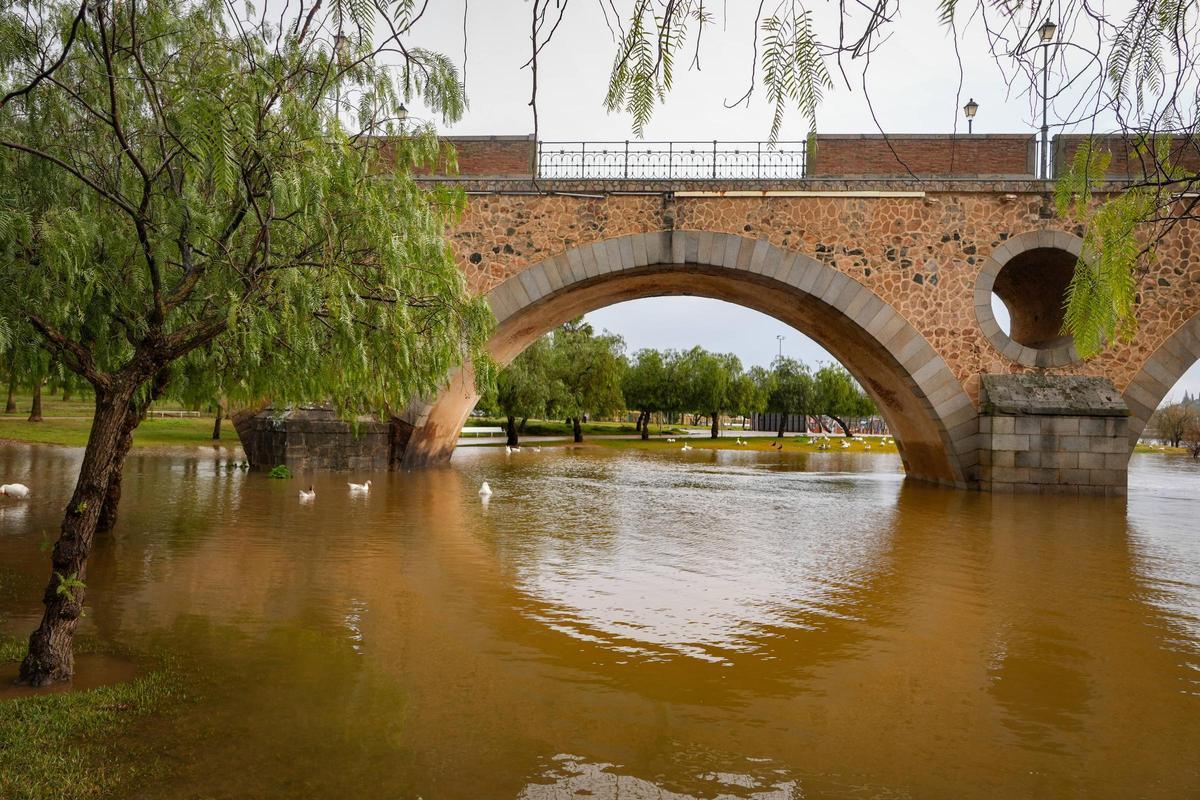 Zona del puente de Palmas donde se halló el cuerpo sin vida del joven.