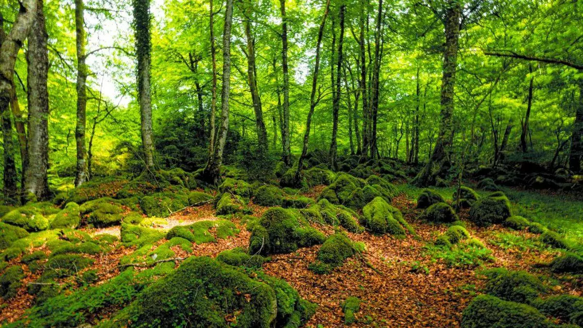 Navarra en 4 experiencias únicas: una forma de disfrutar el destino dejando un impacto positivo en sus habitantes