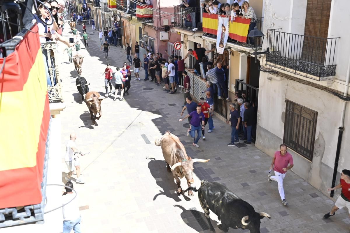 Galería | Almassora vibra con el encierro de cerriles de Gerardo Ortega