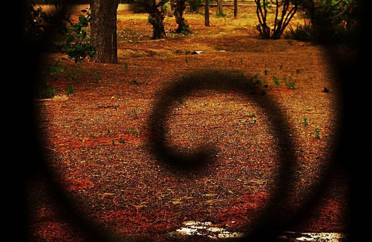 Retos fotográficos para ejercitar la creatividad