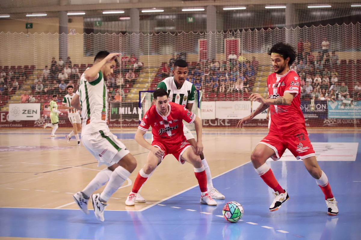 Córdoba Futsal-Jimbee Cartagena: el partido de Vista Alegre en imágenes Córdoba Futsal-Jimbee Cartagena: el partido de Vista Alegre en imágenes