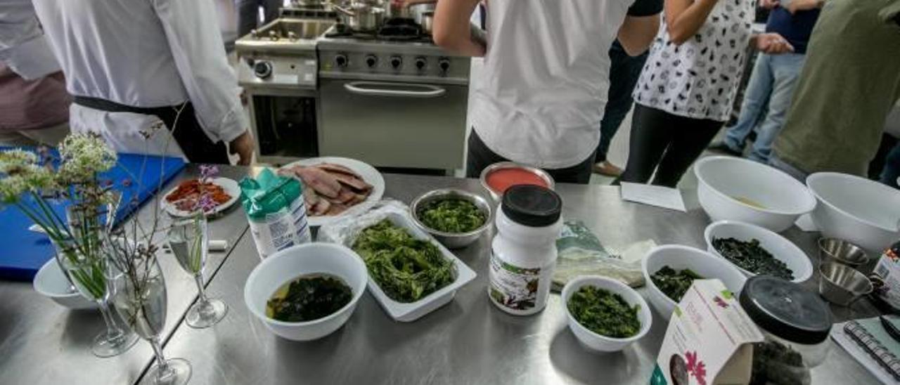La cocina con algas es uno de los cursos más vanguardistas que introduce el CdT de Benidorm en su programación trimestral.