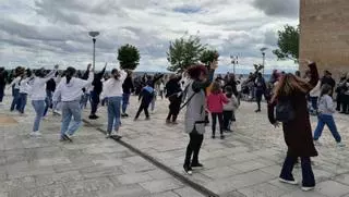 Un "flashmob" de baile en El Espolón conmemora el Día de la Danza en Toro