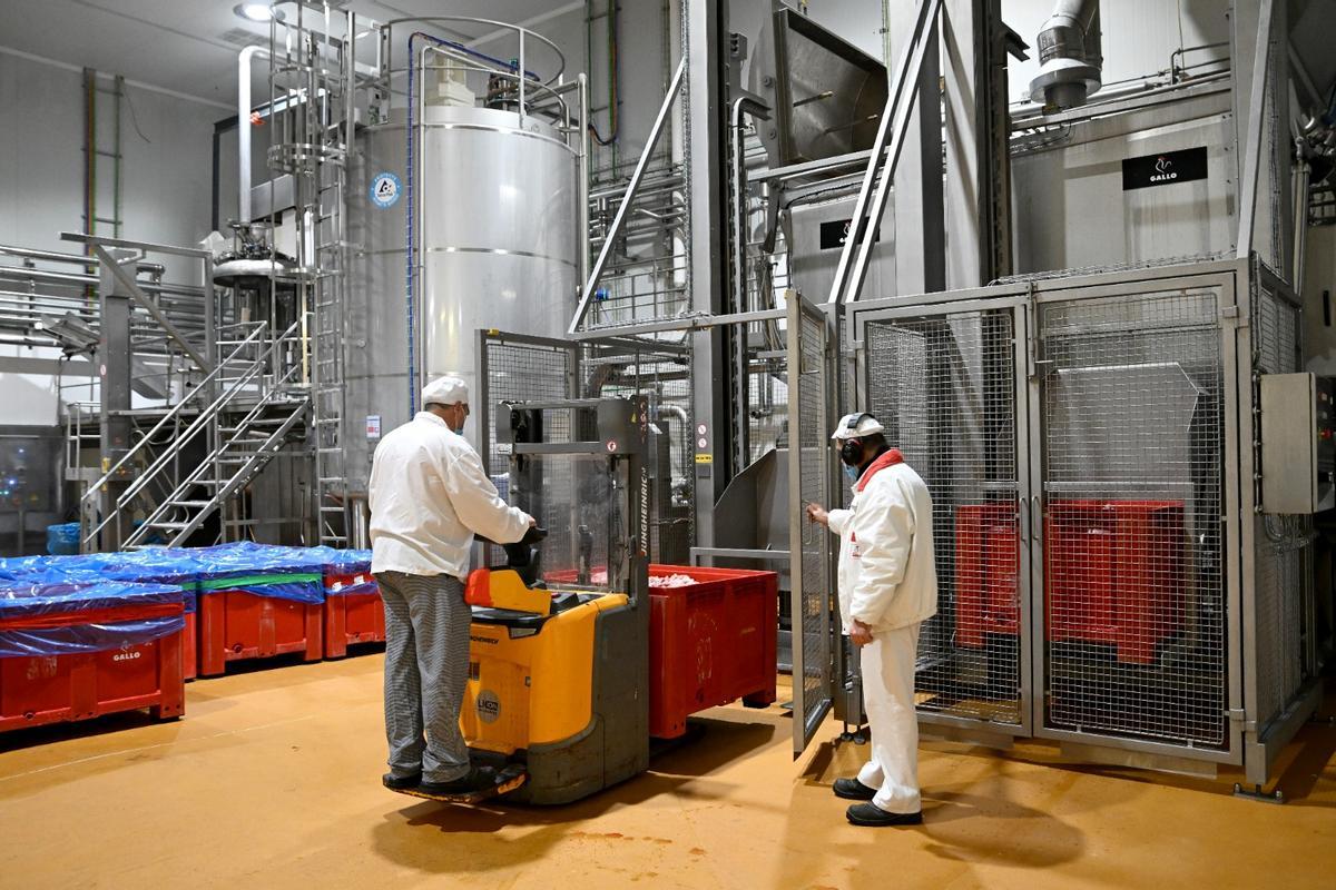 Unos operarios preparan los contenedores de carne de pollo que serán vertidos en la olla para fabricar caldos en la fábrica de Grupo Gallo en Granollers (Barcelona).