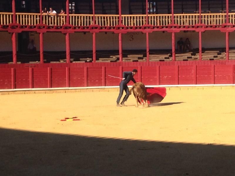 Fiestas en Toro | Becerrada de las peñas