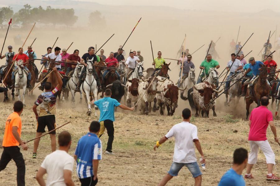 Segundo encierro taurino en Guarrate